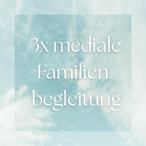 3 Mediale Familienbegleitung